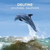 image Dolphins 2027 Wall Calendar Main Product Image