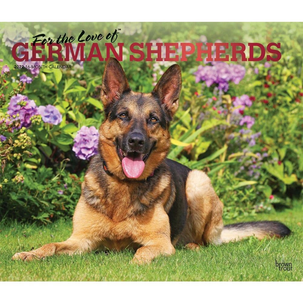 German Shepherds 2022 Calendar Dog Calendars com