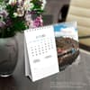 image Canadian Geographic Scenic 2025 Easel Desk Calendar on a desk