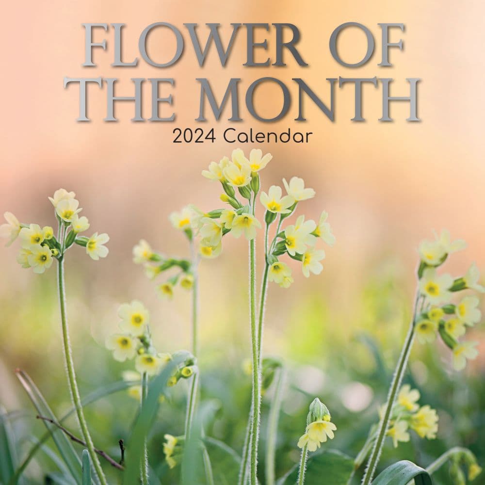 Flower of the Month 2024 Wall Calendar