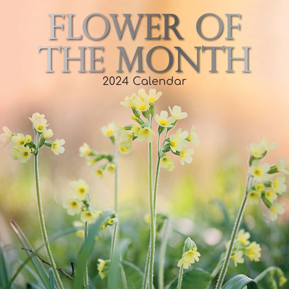 Flower of the Month 2024 Wall Calendar