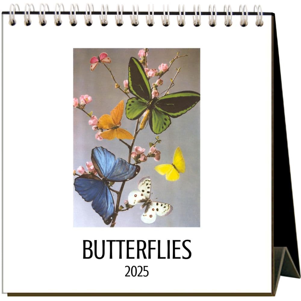 Butterflies 2025 Easel Desk Calendar Main Image