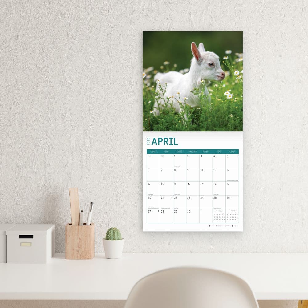 Baby Goats 2025 Wall Calendar Third Alternate Image width="1000" height="1000"