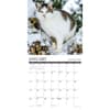 image What Cats Teach Us 2025 Wall Calendar Second Alternate Image width=&quot;1000&quot; height=&quot;1000&quot;