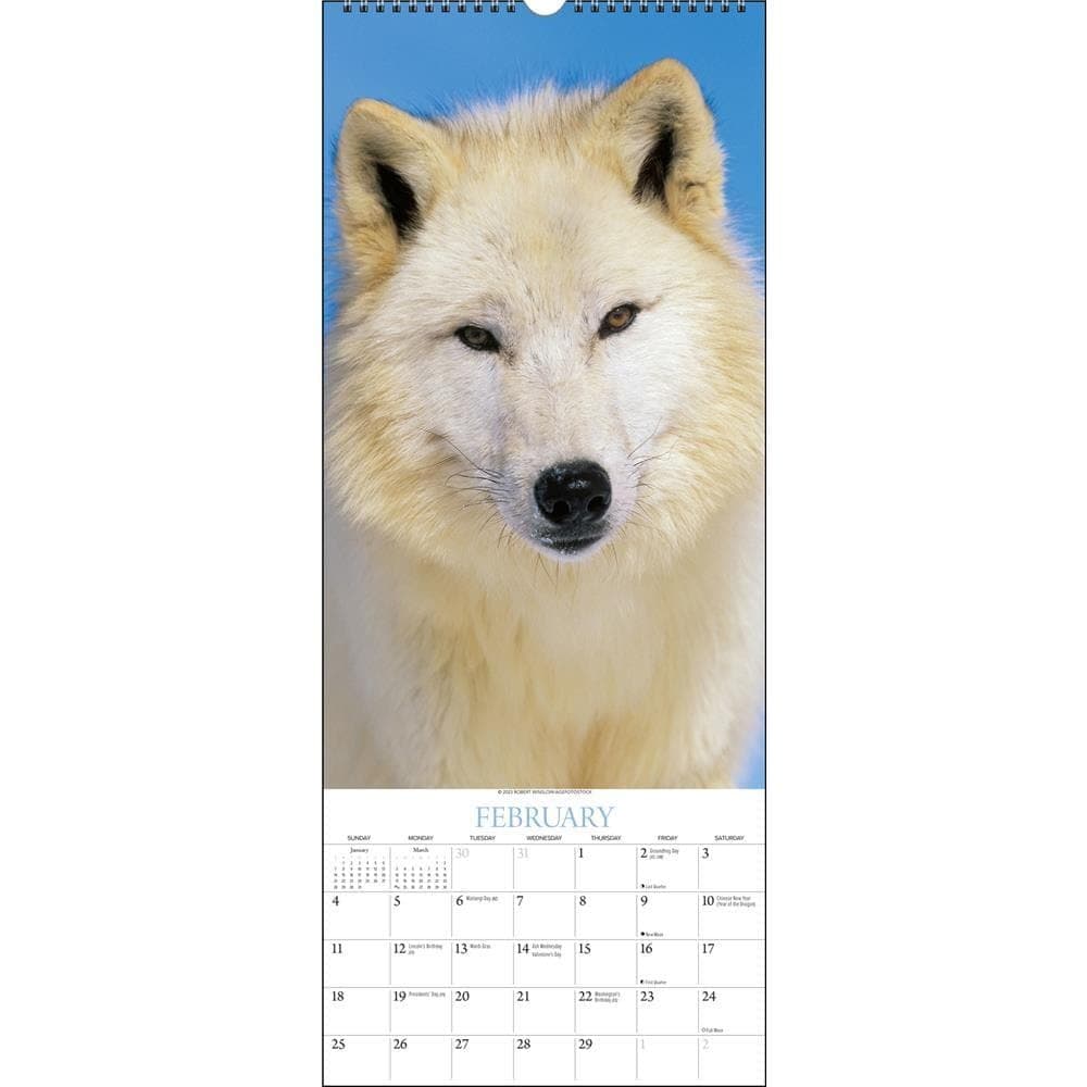 Wolves 2024 Slim Wall Calendar Second Alternate Image width=&quot;1000&quot; height=&quot;1000&quot;