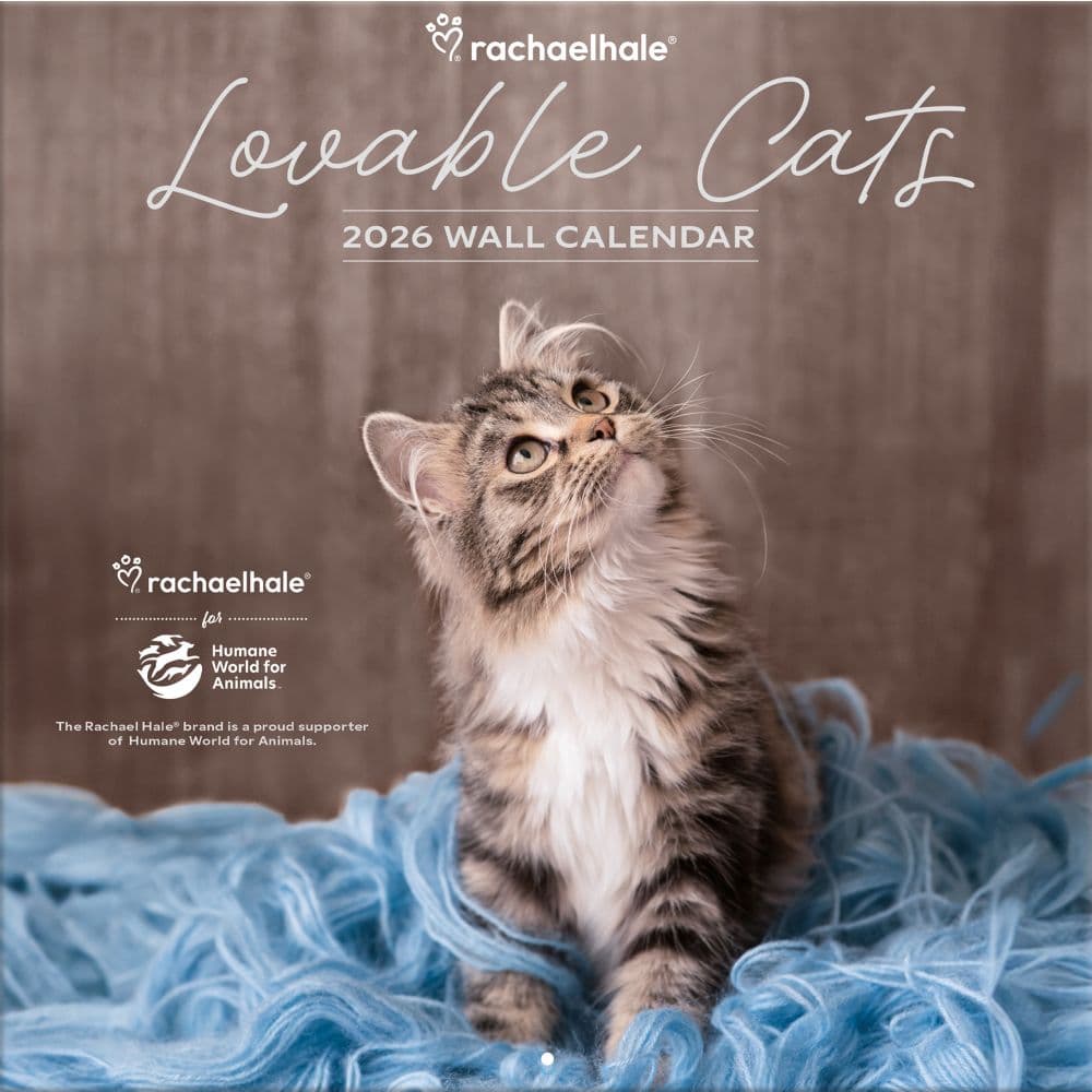 Rachael Hale Loveable Cats 2026 Wall Calendar Main Product Image