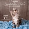 image Rachael Hale Loveable Cats 2026 Wall Calendar Main Product Image