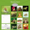 image Fabulous Frogs 2025 Wall Calendar First Alternate Image width=&quot;1000&quot; height=&quot;1000&quot;