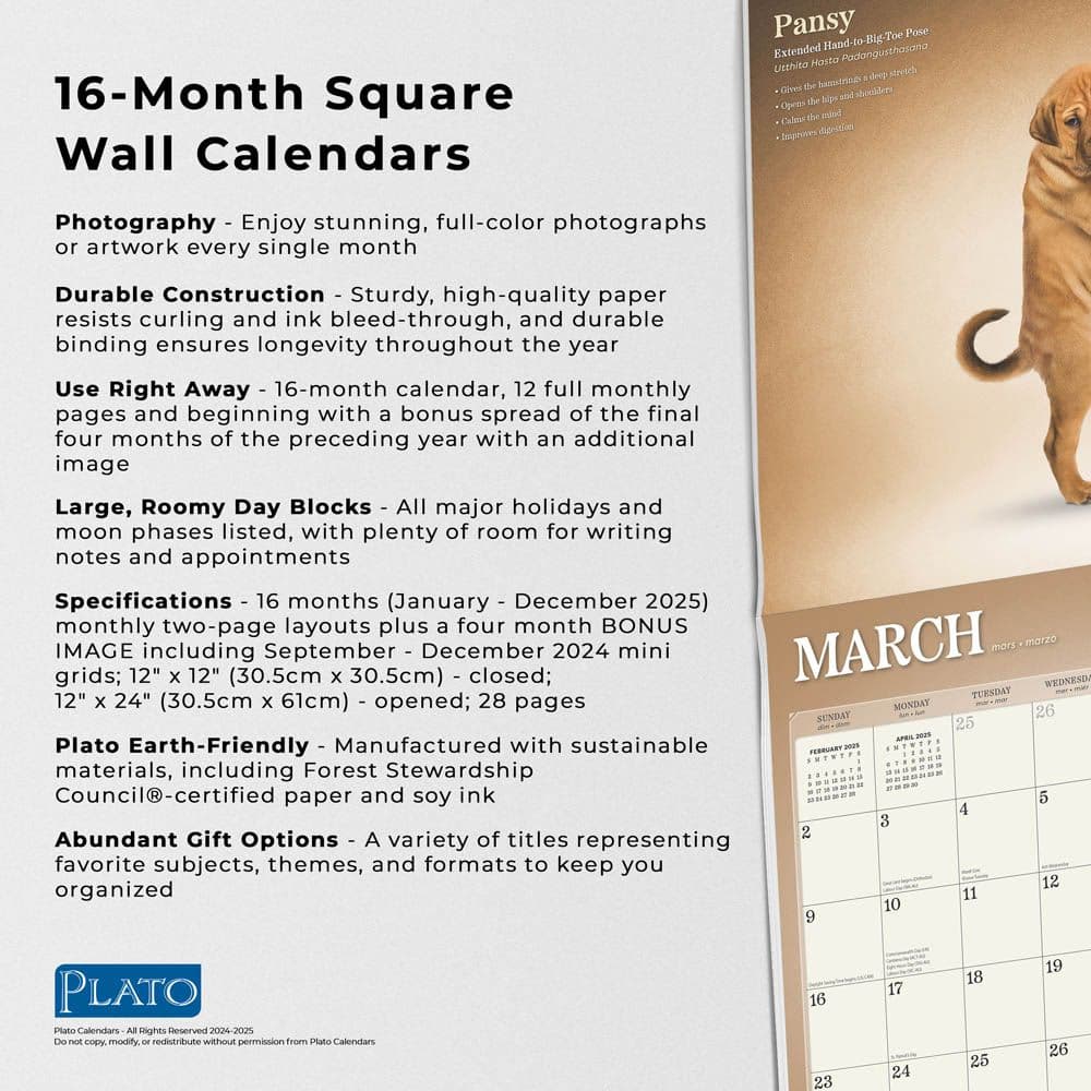 Yoga Puppies Plato 2025 Wall Calendar Fifth Alternate Image