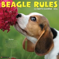 image Beagle Rules 2026 Wall Calendar Main Image