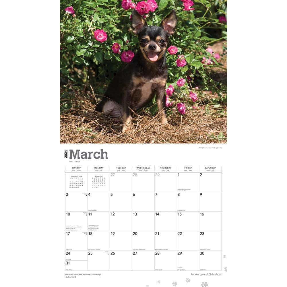 For the Love of Chihuahuas Deluxe 2024 Wall Calendar - Calendars.com
