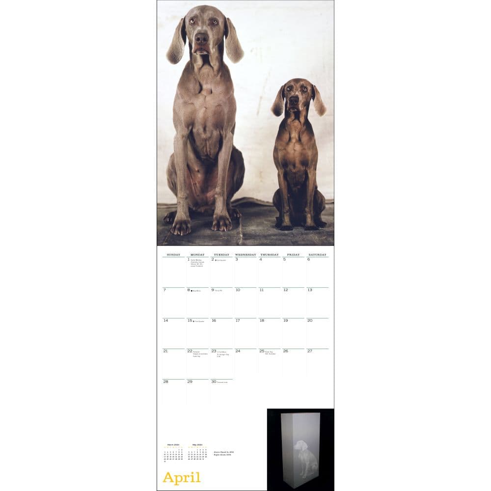 Wegman Mans Best Friend 2024 Wall Calendar