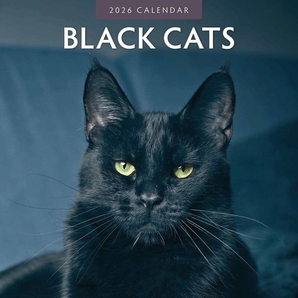 Black Cats 2026 Wall Calendar Main Product Image