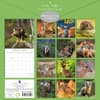image Country Wildlife 2025 Wall Calendar First Alternate Image width=&quot;1000&quot; height=&quot;1000&quot;