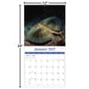 image Sea Creatures 2027 Wall Calendar