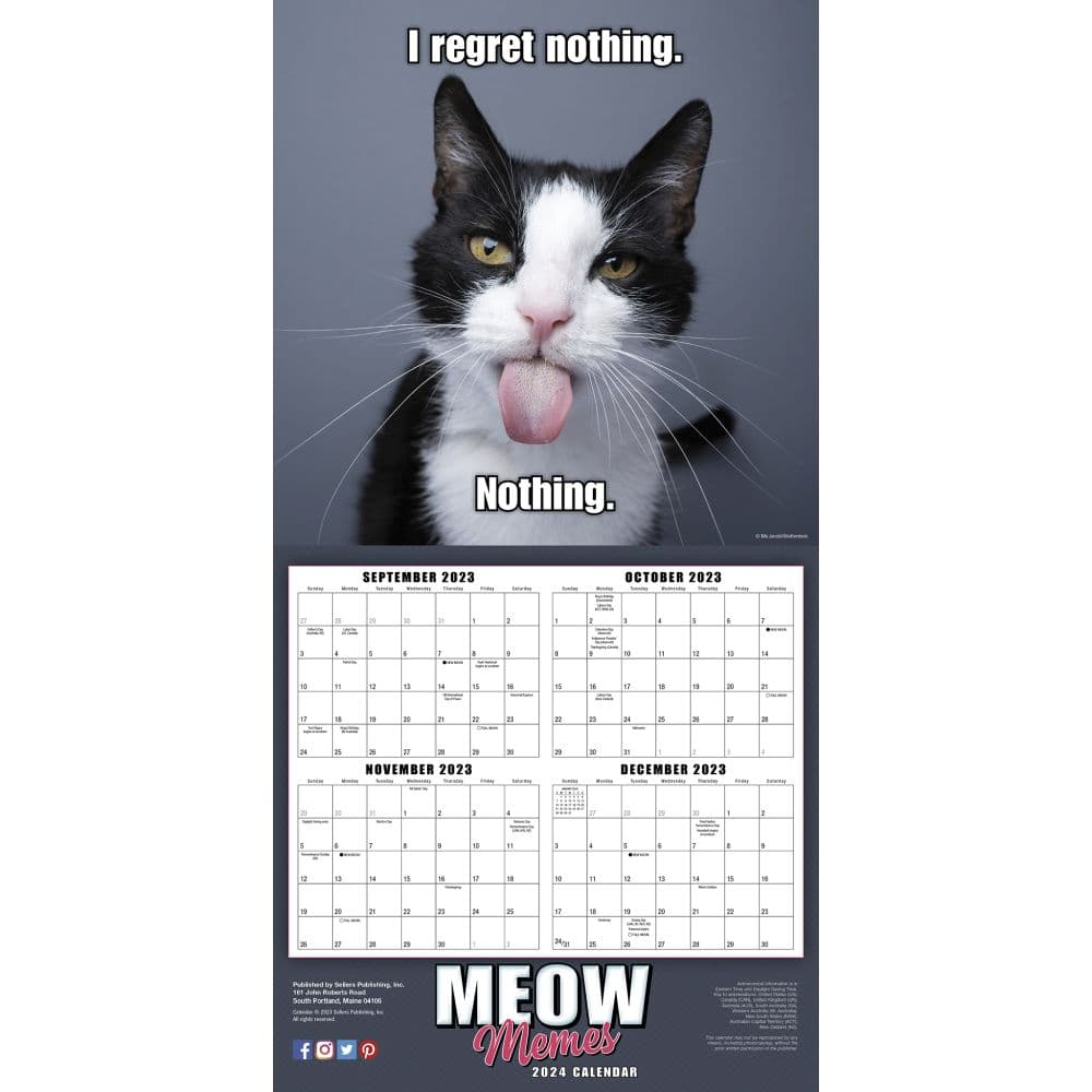 Meow Memes 2024 Wall Calendar Alternate Image 4