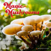 image Magic Mushrooms 2025 Wall Calendar Main Image