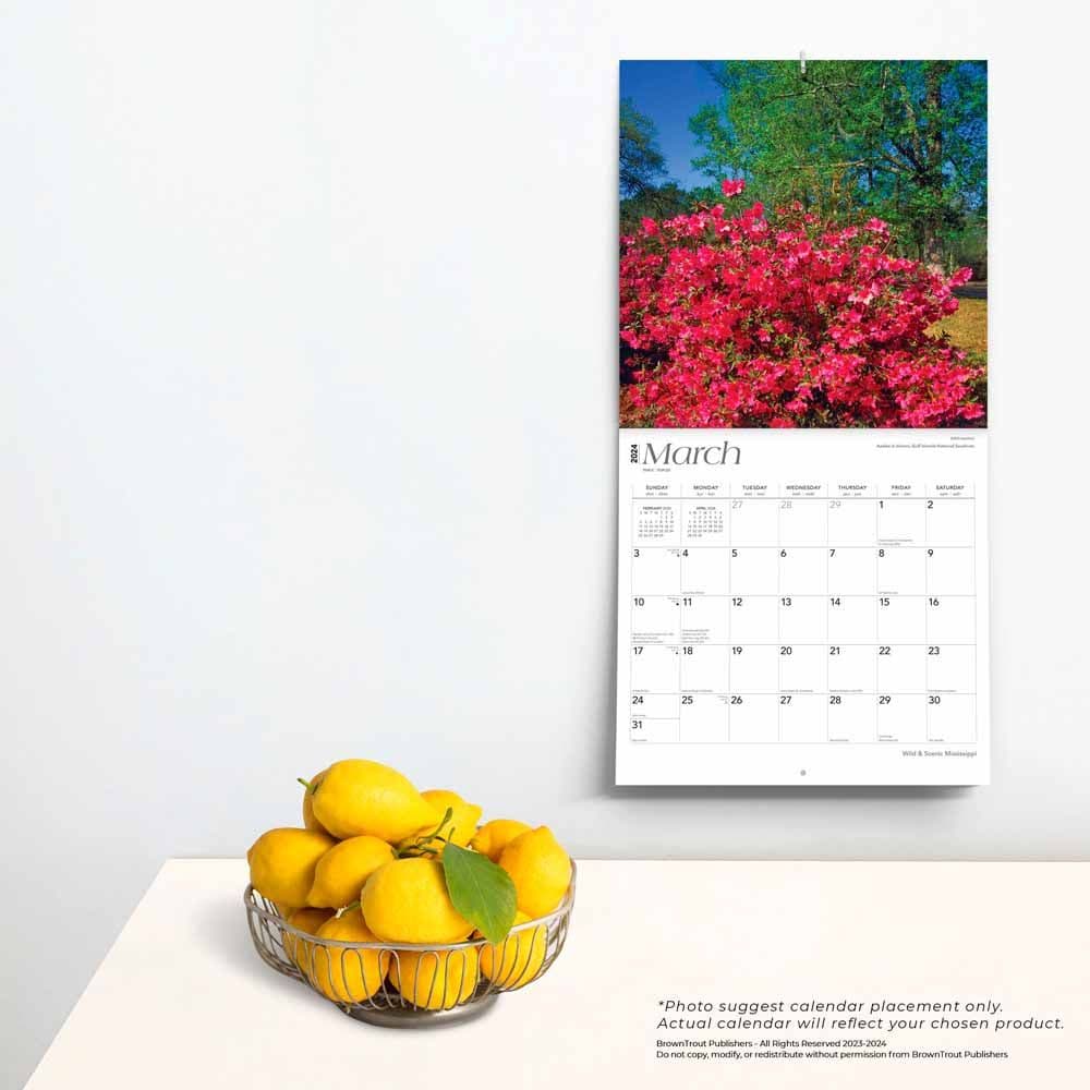 Mississippi Wild and Scenic 2024 Wall Calendar Third Alternate Image width=&quot;1000&quot; height=&quot;1000&quot;