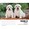 image Labs 2026 Desk Calendar Second Alternate Image