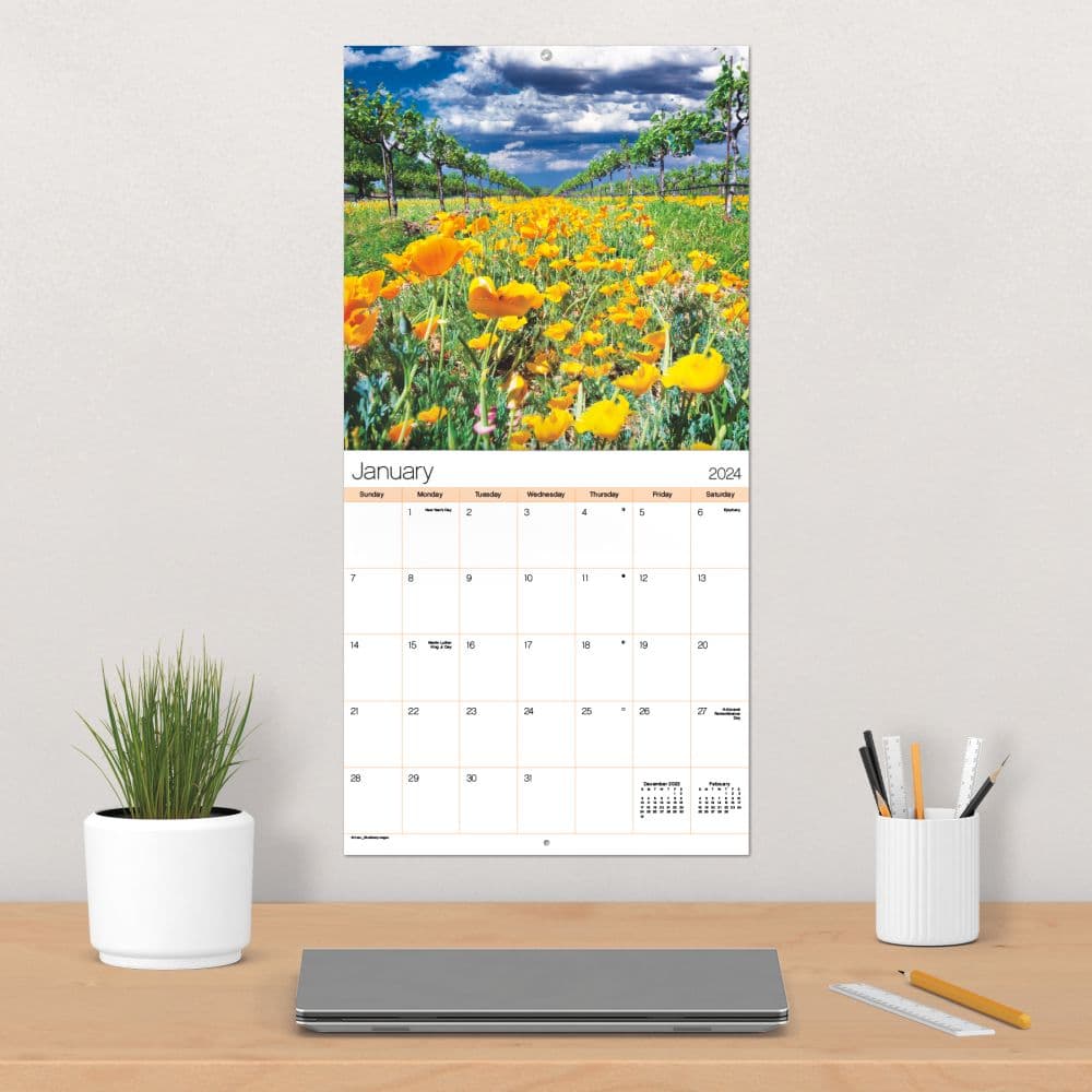 Texas Wildflowers 2024 Wall Calendar Alternate Image 5