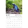 image Frogs WWF 2026 Wall Calendar Third Alternate Image