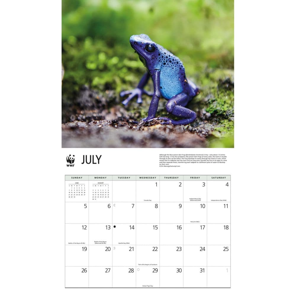 Frogs WWF 2026 Wall Calendar Third Alternate Image
