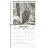 image Birds Of Prey Photo 2025 Wall Calendar Alt5