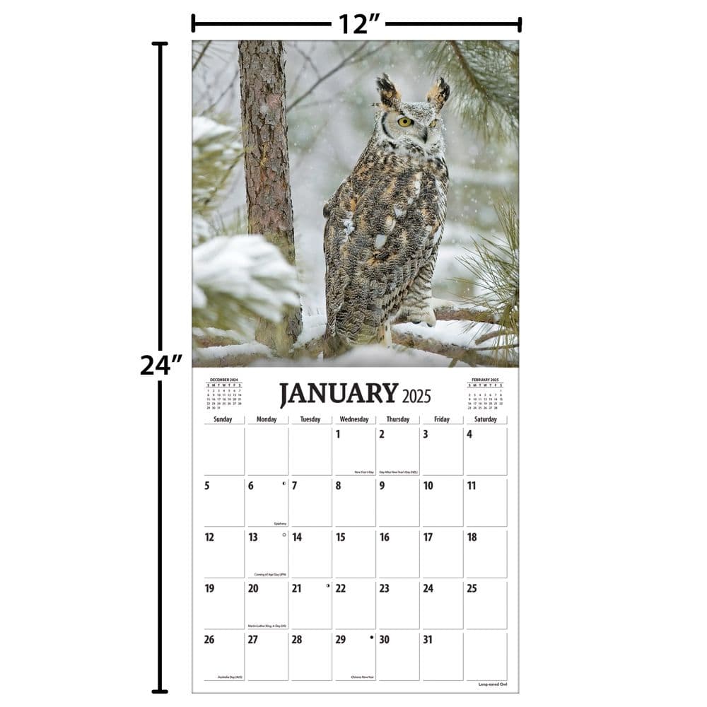 Birds Of Prey Photo 2025 Wall Calendar Alt5