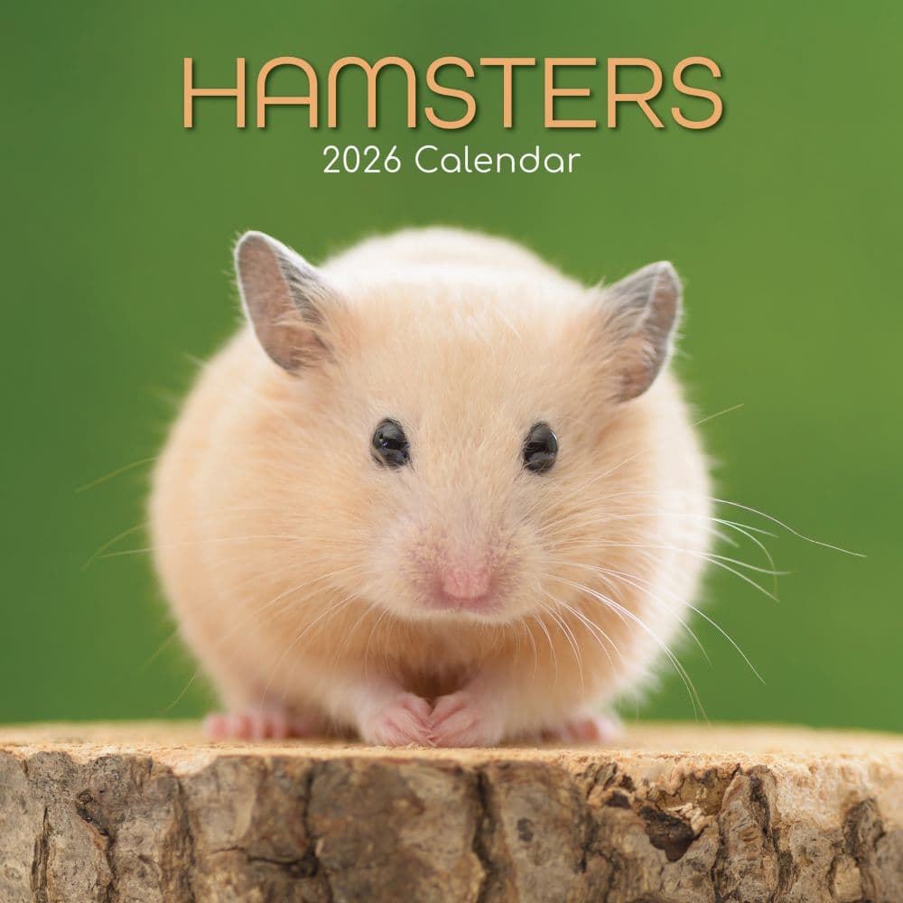 Hamsters 2026 Wall Calendar  Main Image