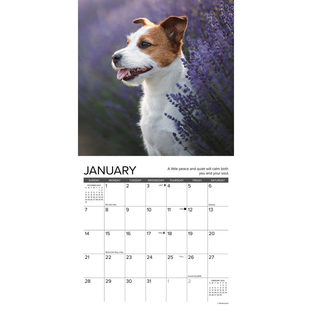 What Dogs Teach Us 2024 Mini Wall Calendar