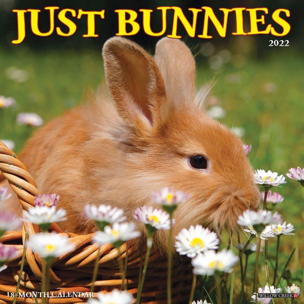 Bunnies 2022 Wall Calendar