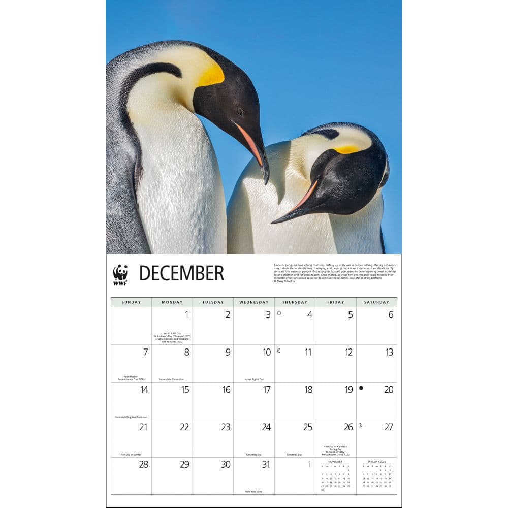 Penguins WWF 2025 Wall Calendar