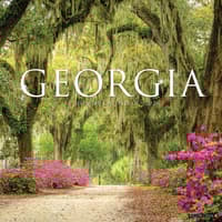 image Georgia 2026 Wall Calendar Main Image