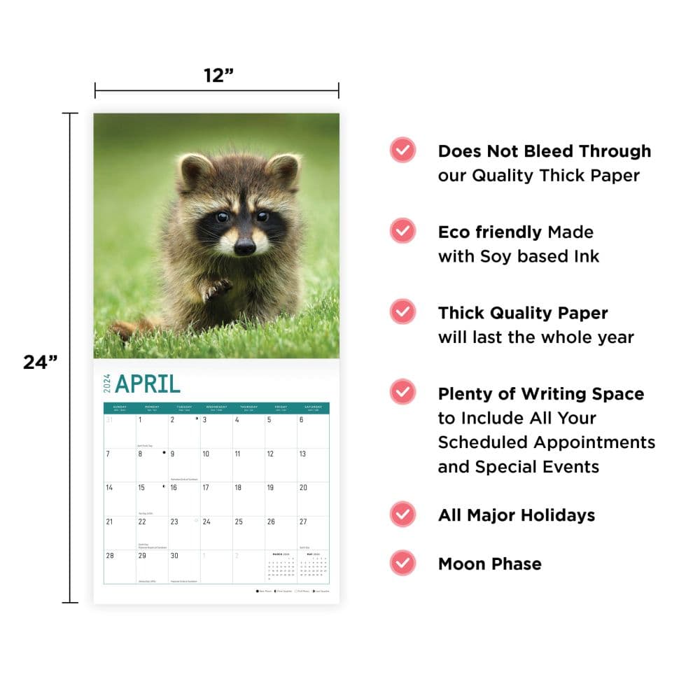 Baby Raccoons 2024 Wall Calendar