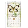 image Butterflies 2027 Wall Calendar by Jane Shasky Third Alternate Image