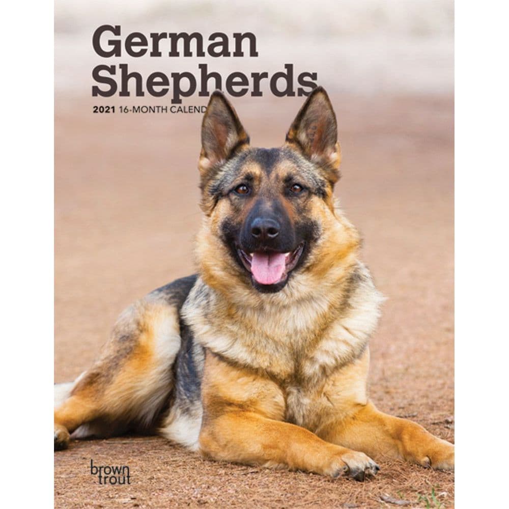 German Shepherds Engagement