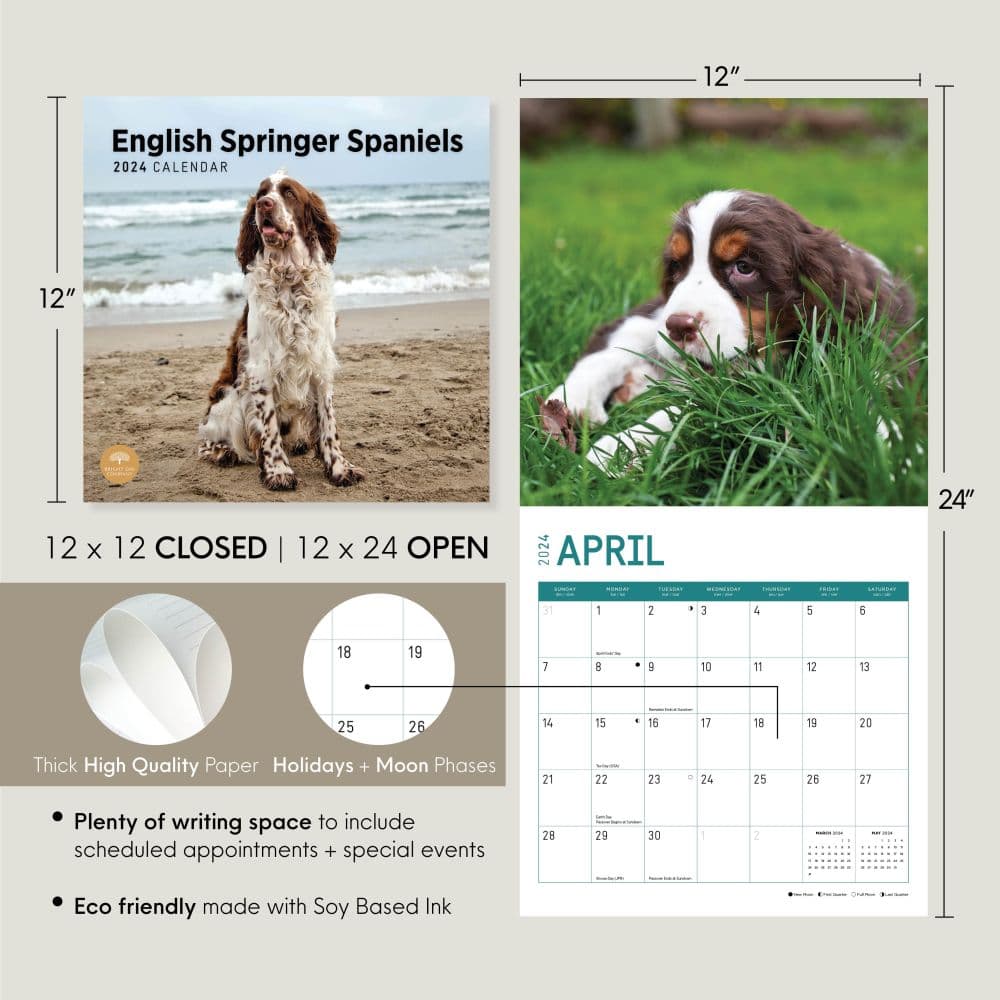 English Springer Spaniels 2024 Wall Calendar Eighth Alternate Image width=&quot;1000&quot; height=&quot;1000&quot;