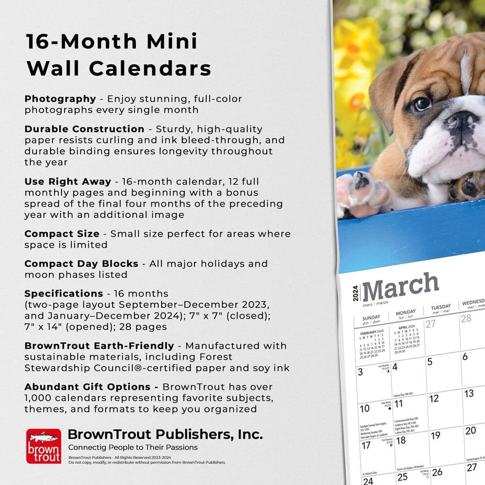 Bulldog Puppies 2024 Mini Wall Calendar Fourth Alternate Image width=&quot;1000&quot; height=&quot;1000&quot;