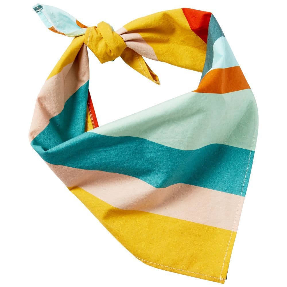 Petperson Bandana Matching Set Alternate Image 2