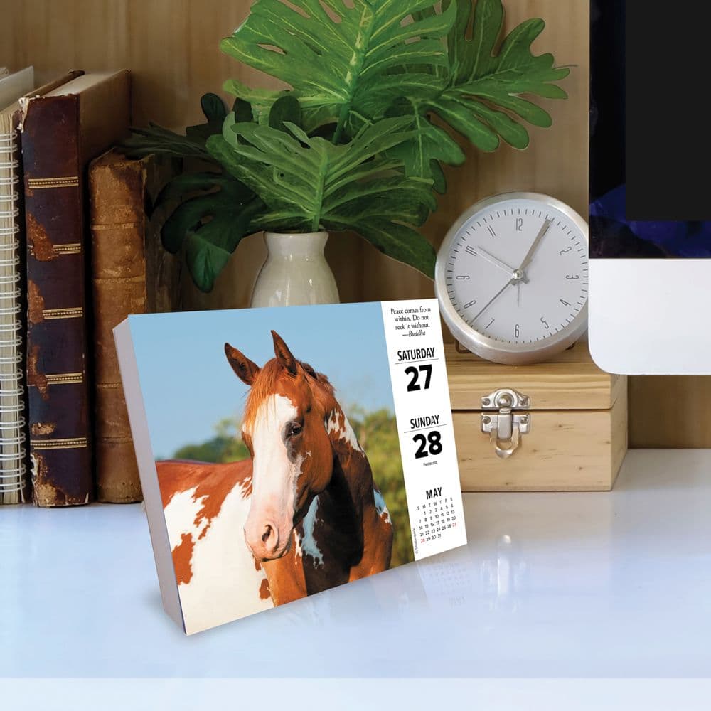 What Horses Teach Us 2023 Desk Calendar - Calendars.com