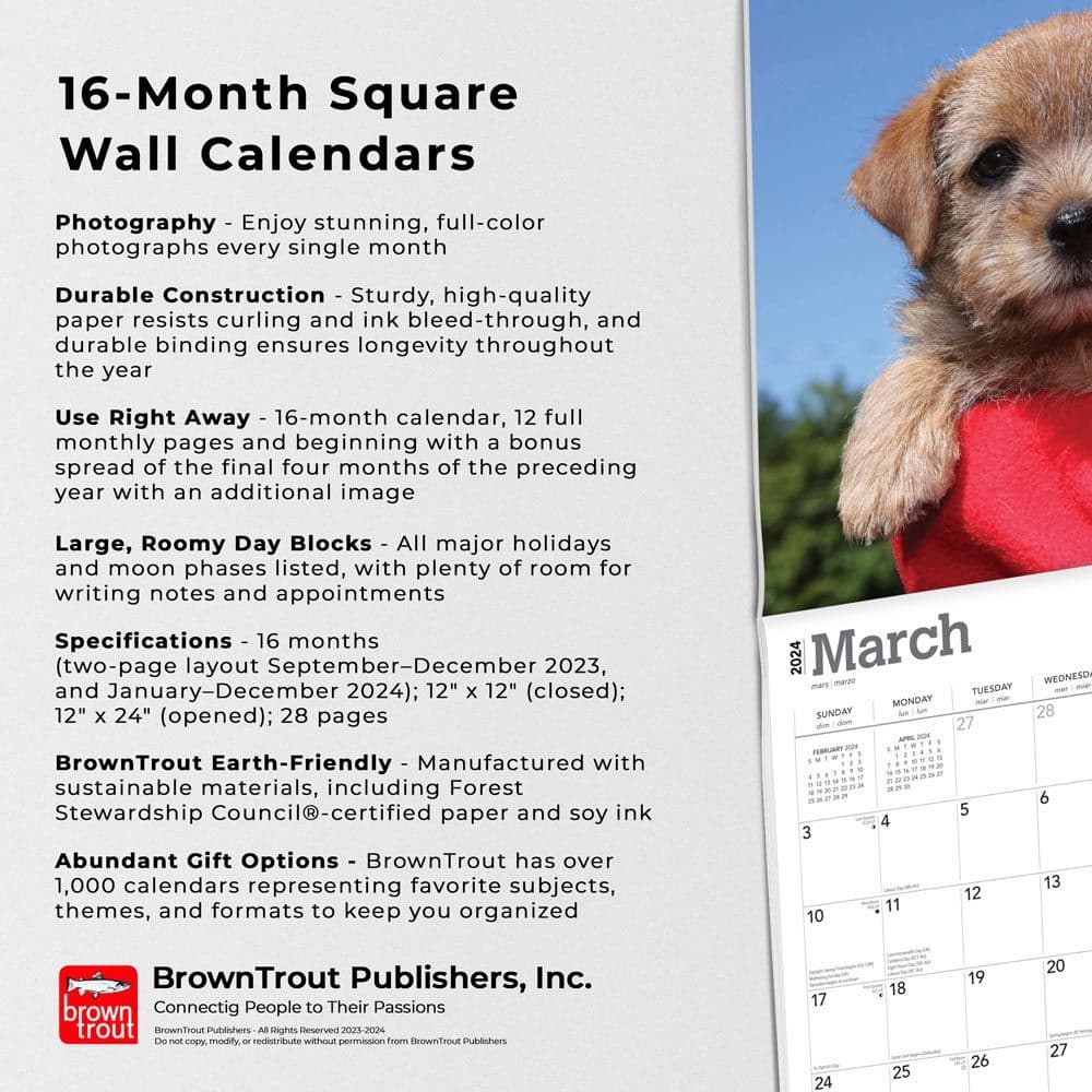 Norfolk Terriers 2024 Wall Calendar