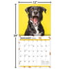image Doggy Want A Treat 2024 Wall Calendar Alternate Image 4