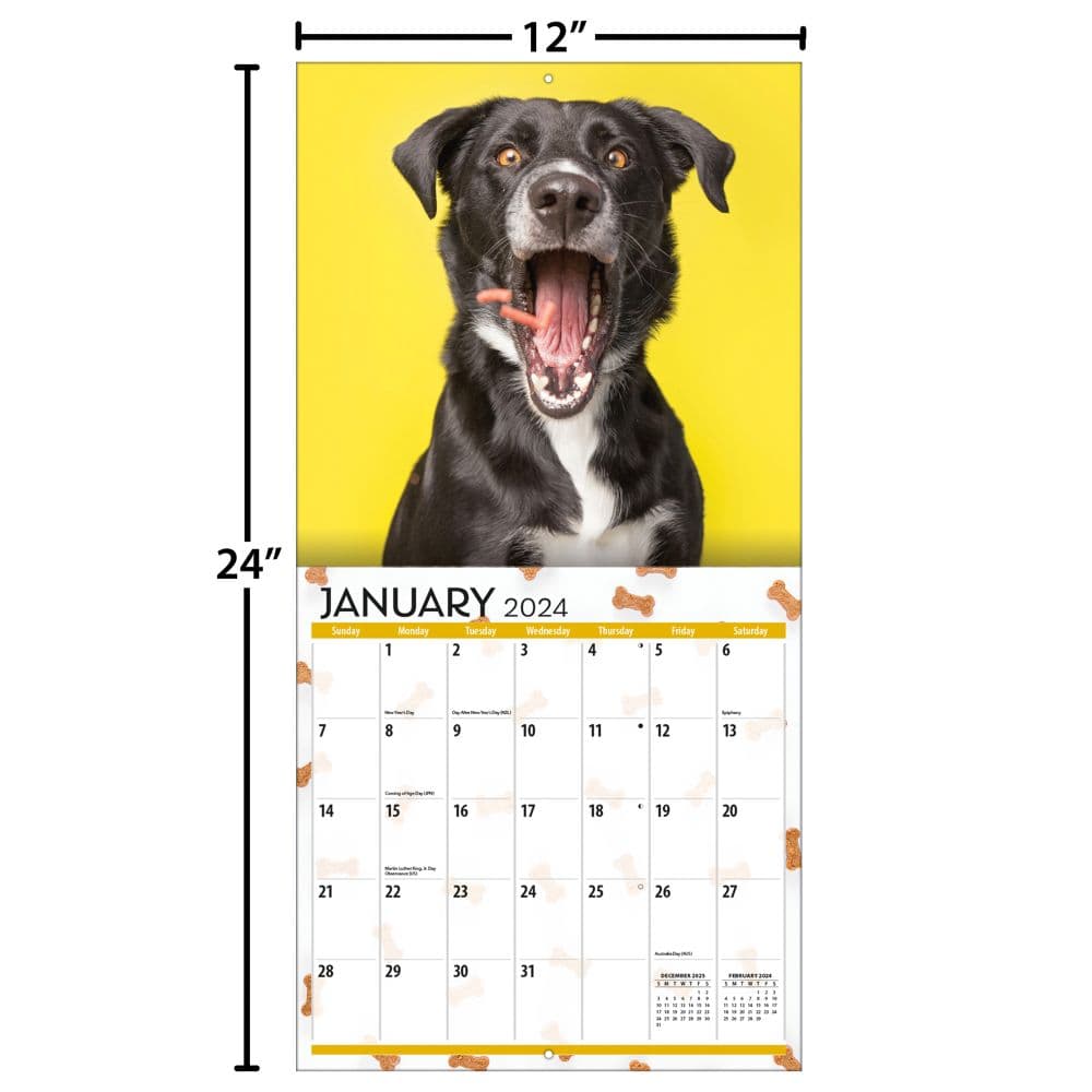Doggy Want A Treat 2024 Wall Calendar Alternate Image 4