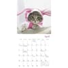 image Cats in Hats 2026 Mini Wall Calendar Third Alternate Image