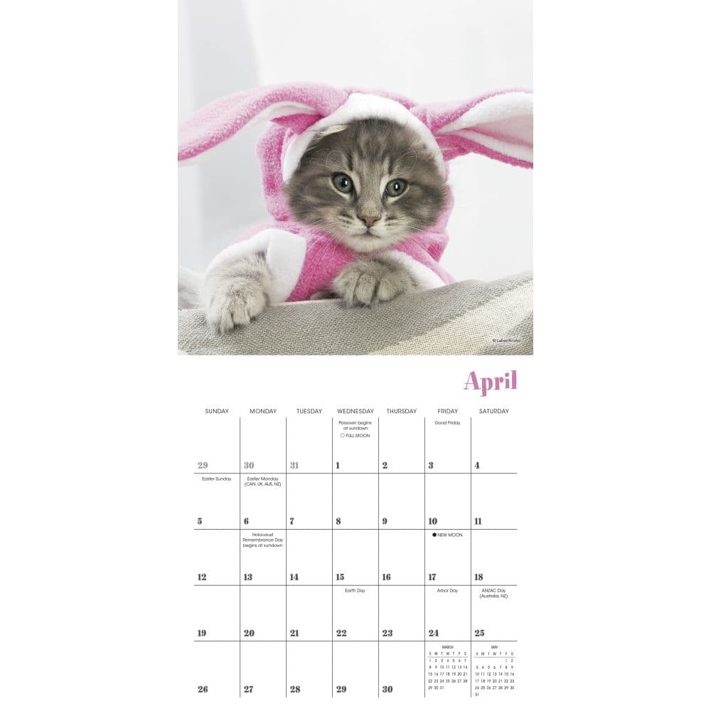 Cats in Hats 2026 Mini Wall Calendar Third Alternate Image