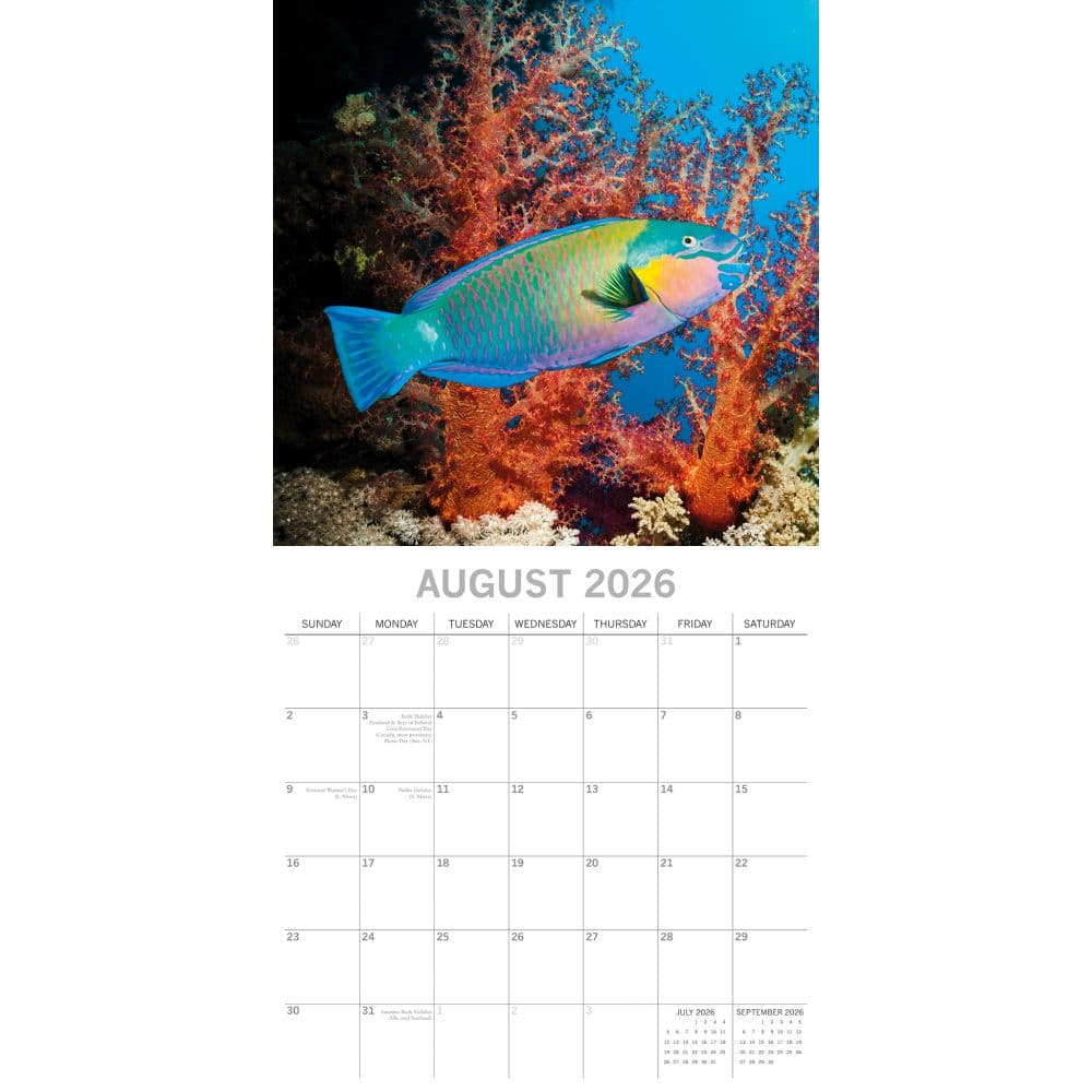 Under the Sea 2026 Wall Calendar Third Alternate Image