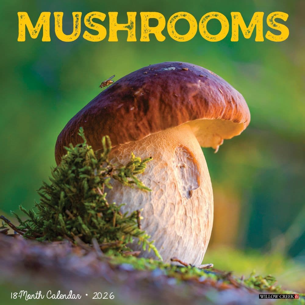 Mushroom Art 2026 Wall Calendar Main Image