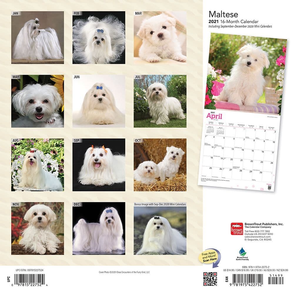 Maltese Wall Calendar