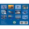 image Saltwater Sportsmen &amp; Trophy Game Fish 2027 Wall Calendar First Alternate Image