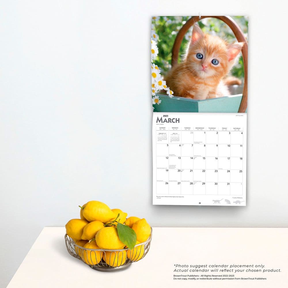 I Love Kittens 2023 Wall Calendar - Calendars.com